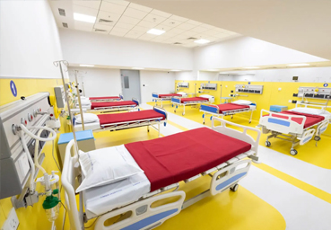 3-Hour Daily Clinics