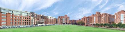 Amity Institute of Physiotherapy, Amity University, Noida