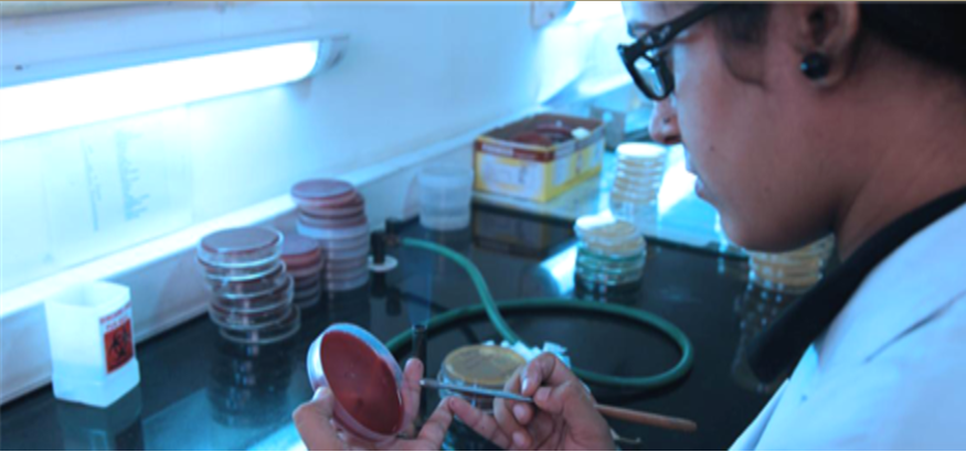Research – Awards & Honours, ICMR Projects, VMMC Institutional Journal