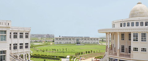 Sports Facilities