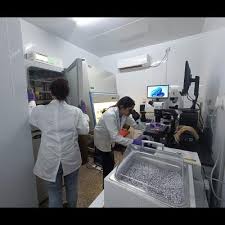 Research Laboratories