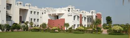 School of Management Sciences