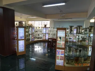 Central Library
