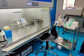 Neurosurgical and Endocrine Clinics (Active During MBBS)