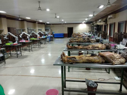 District Hospital Chamba (Teaching Hospital – 300 Beds)