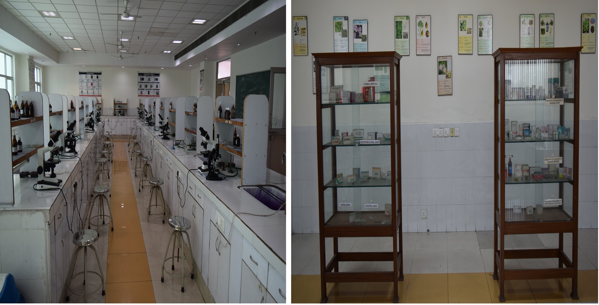Laboratory