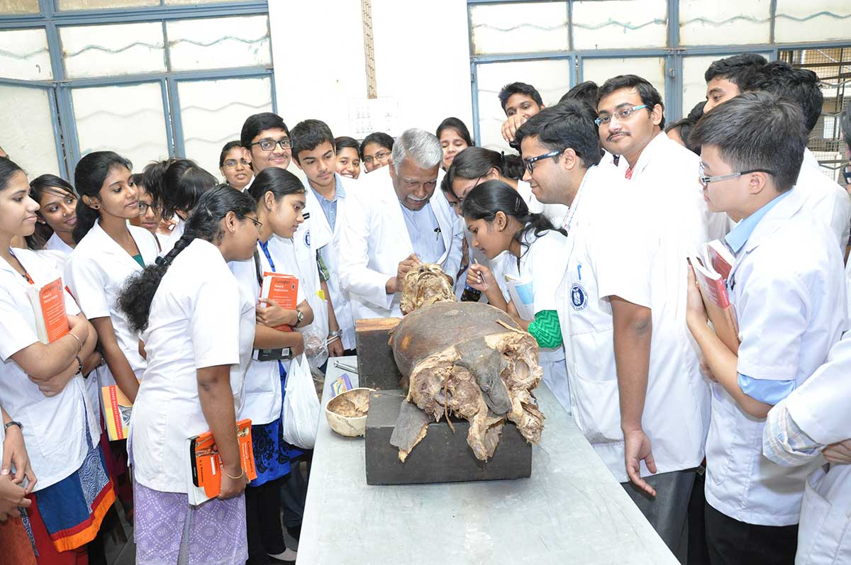 Laboratories & Museums