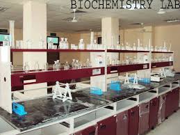 Lab