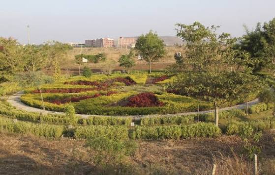 Herbal Specimen Garden