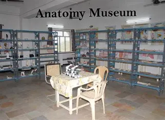 Anatomy Dissection Hall and Museum