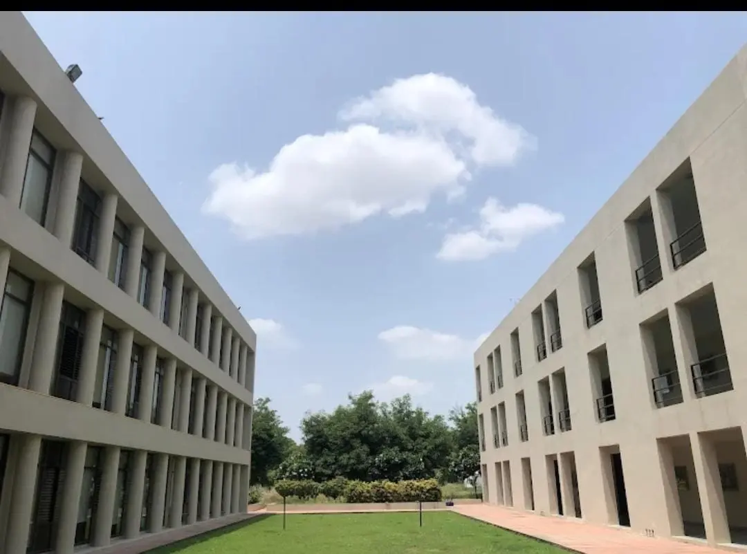 School of Management