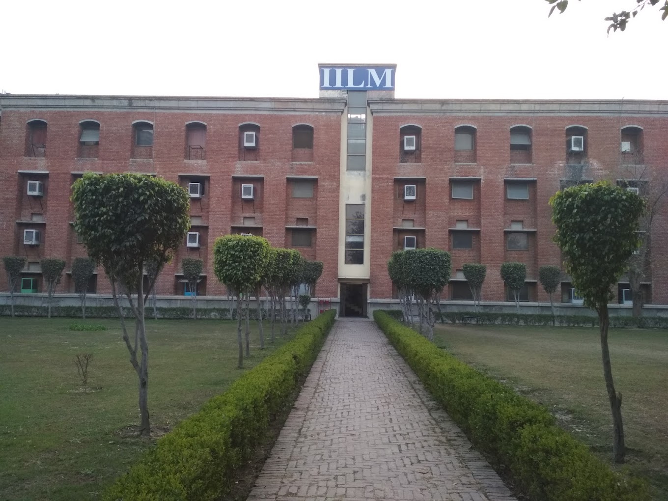 IILM University