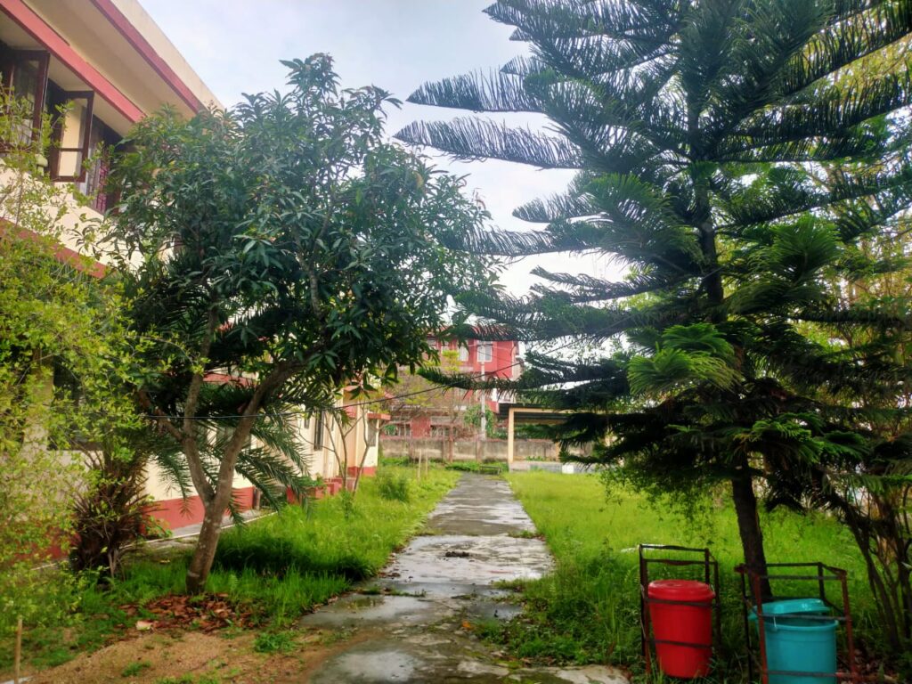 Medicinal Plant Garden
