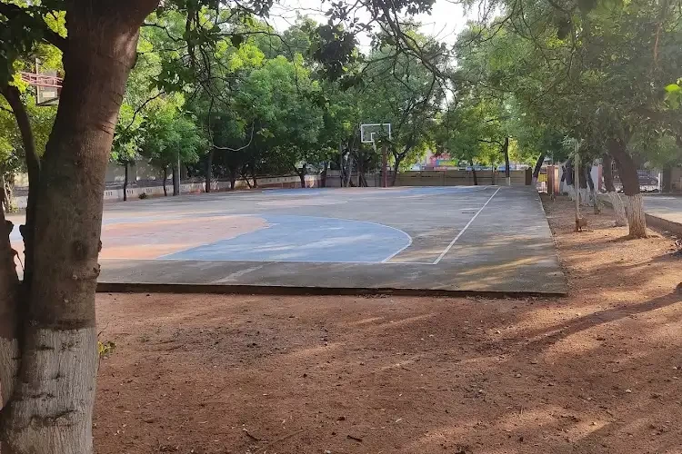 Sports Facilities