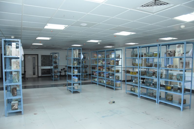 Physiotherapy and Occupational Therapy Unit