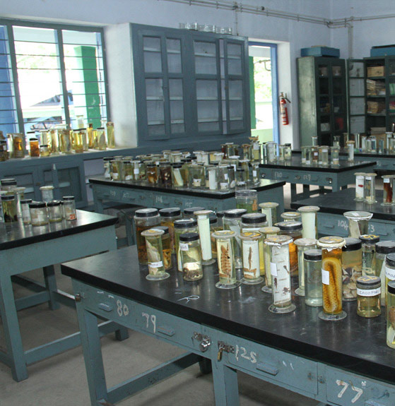 Science Laboratories
