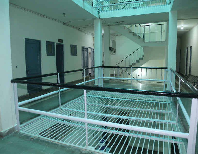 Hostels