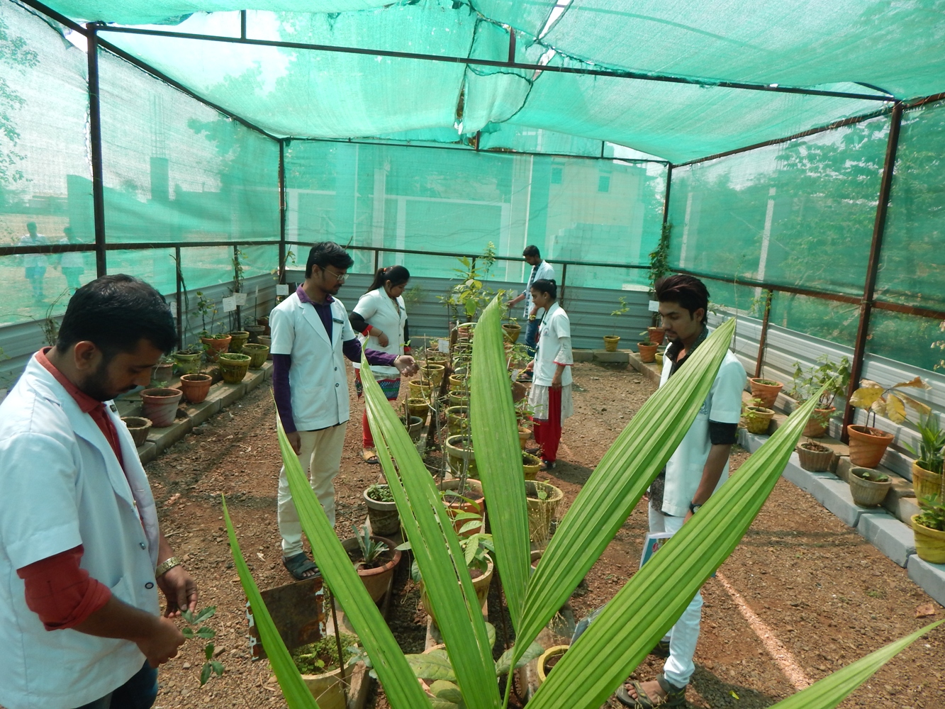 Herbal Garden & Greenhouse