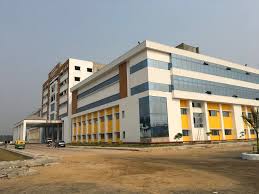 Gallery 1