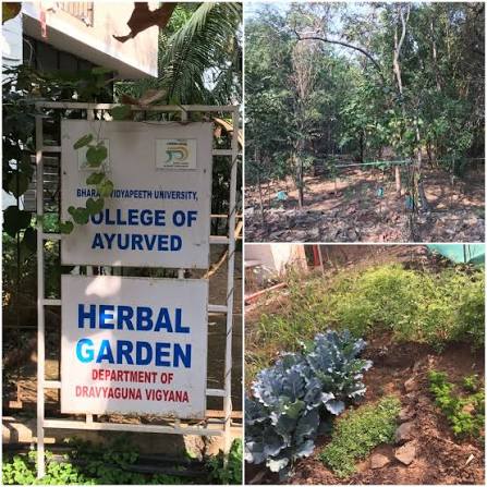 Herbal Garden