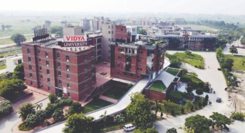 Vidya University, Meerut