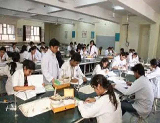 Lab