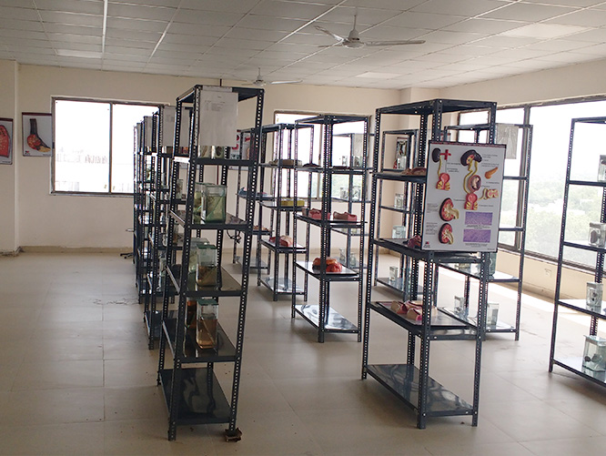 Central Library