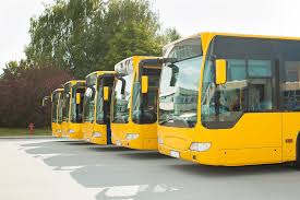 Free Bus Transport