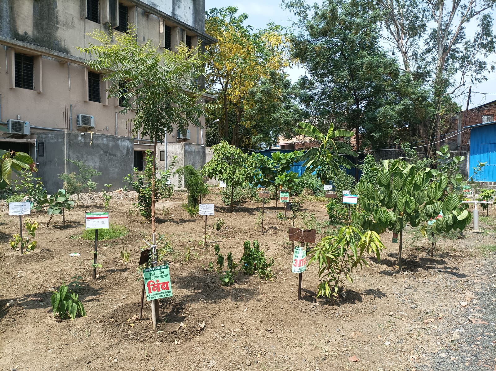Herbal Garden