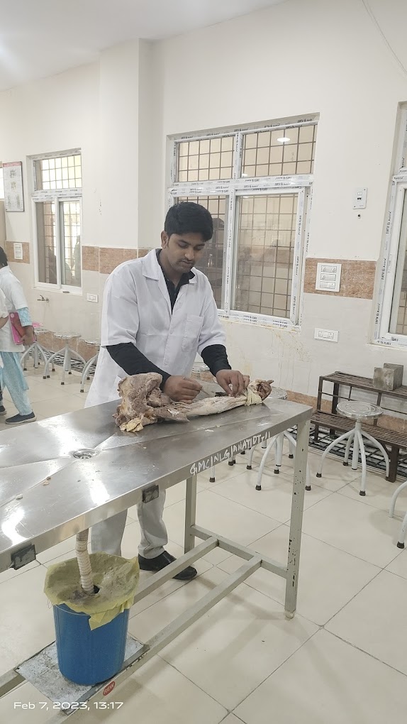 Laboratories