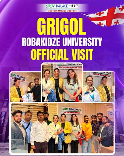 Grigol Robakidze University campus photo 4