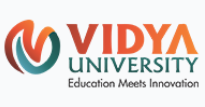 Vidya University, Meerut