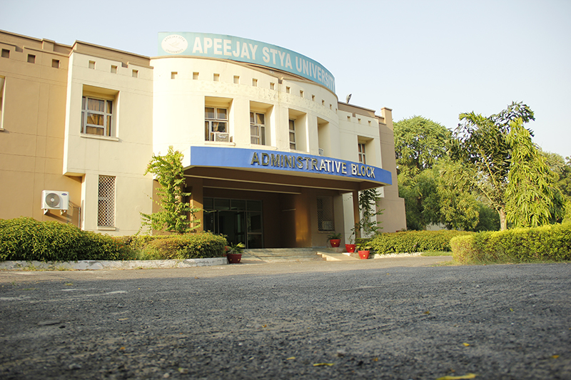 Apeejay Stya University
