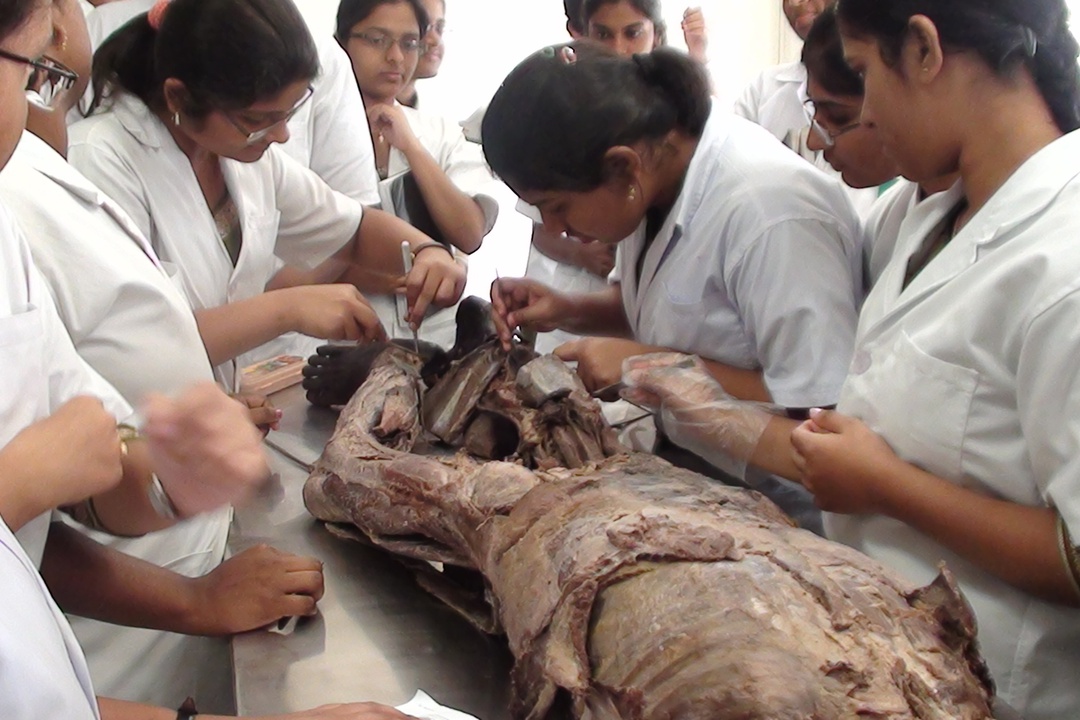 Lecture Halls & Laboratories
