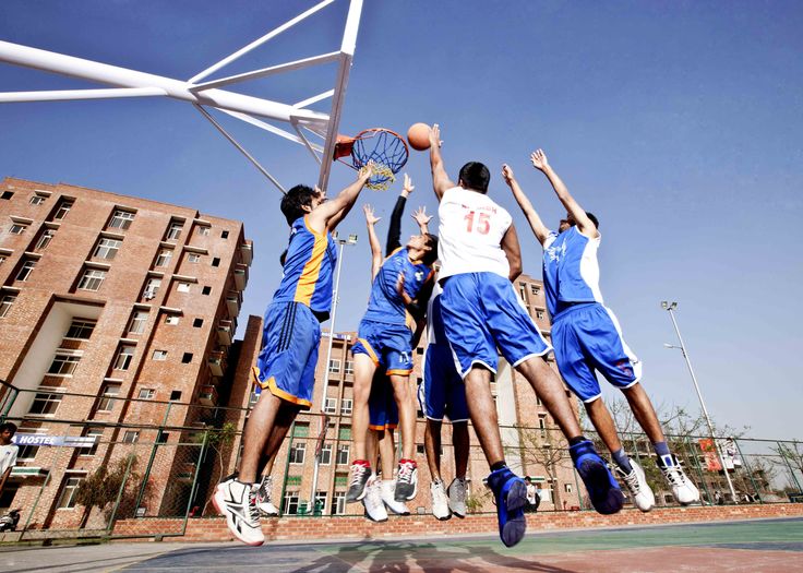 Sports 