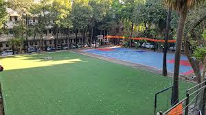 Sports Grounds & Gymnasium