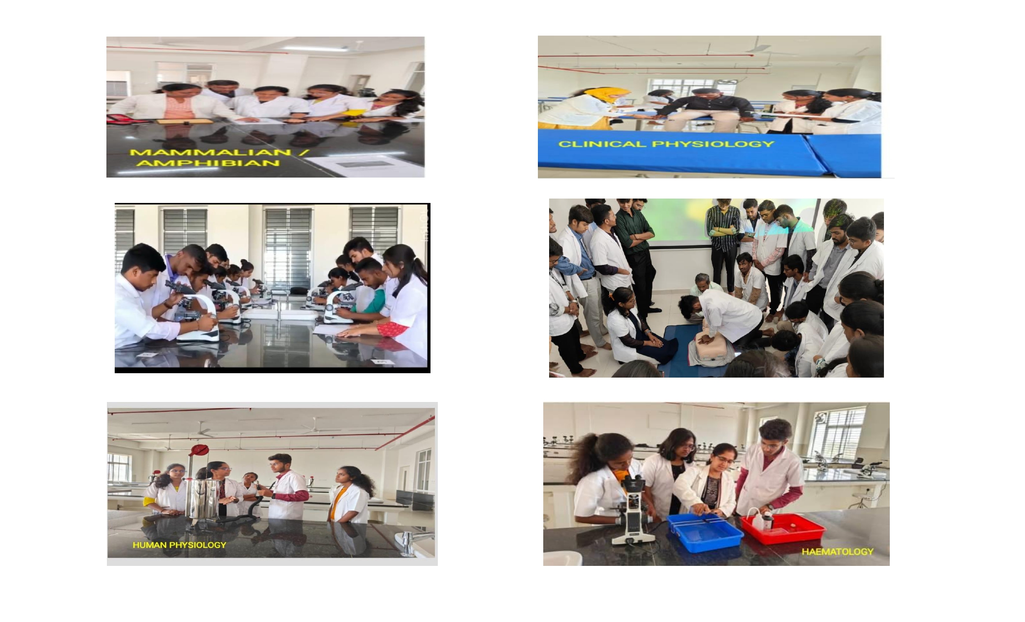 Skill Laboratory