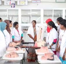 Laboratories & Departmental Museums