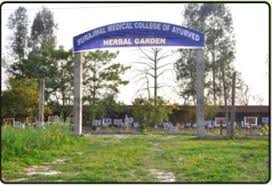 Herbal Garden